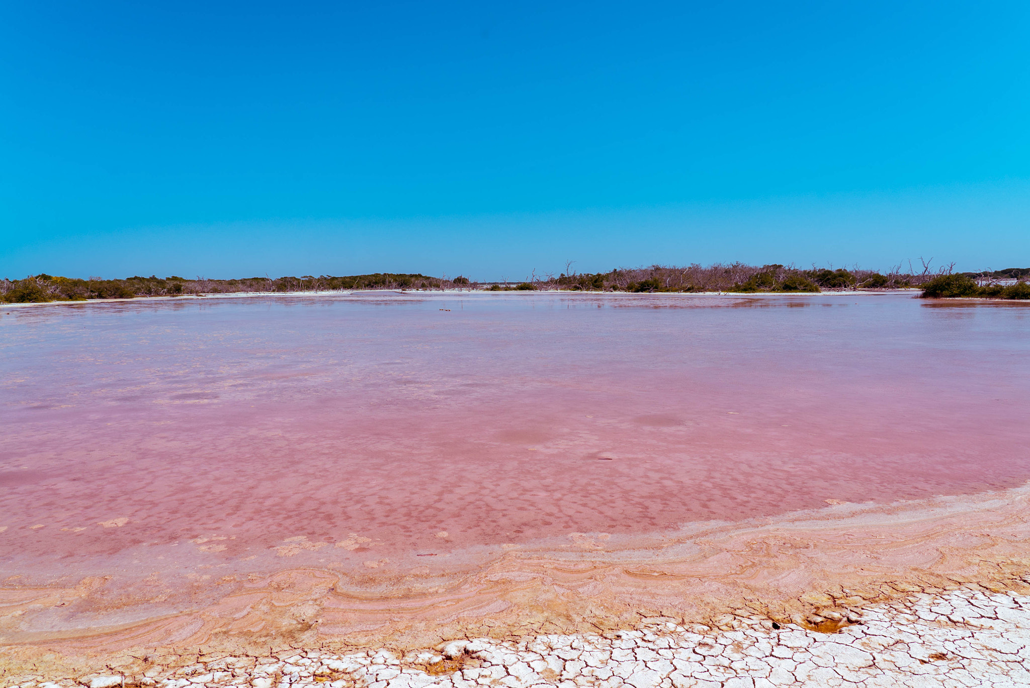 Charcas rosadas de la salinera de Xtampú cerca de Telchac Puerto
